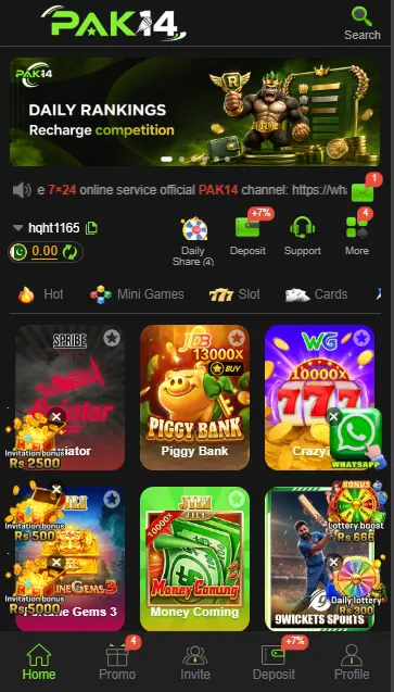 PAK14 Game dashboard