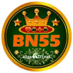 bn555