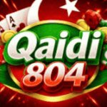 Qaidi804