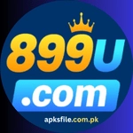 899U Game